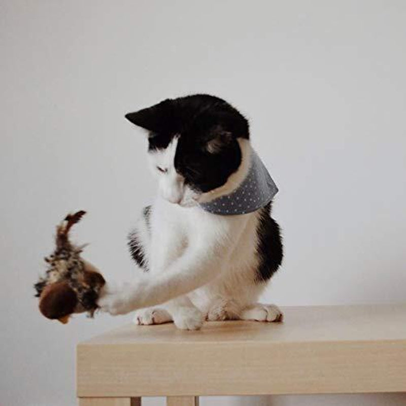 Decoratieve vogel met tjilpgeluid