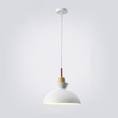 jouwwinkelLite Scandinavische Hanglamp | Design in Metaal | 1-Lichts | Moderne Kleuropties