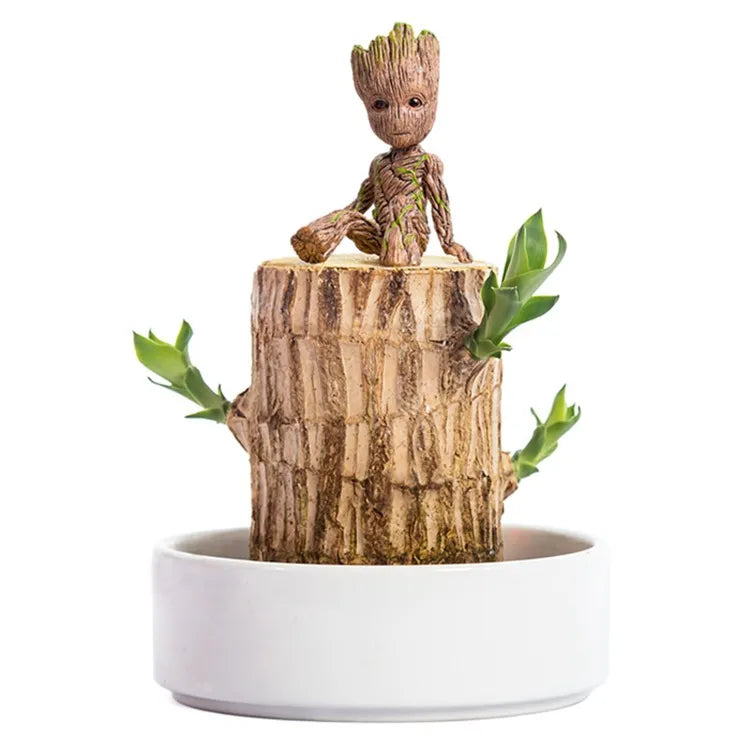 Decoratieve houten plant