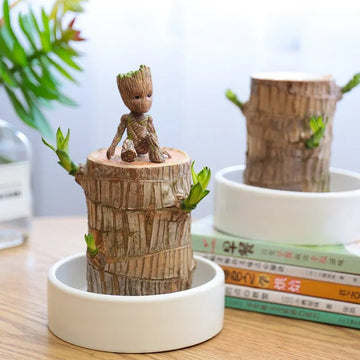 Decoratieve houten plant