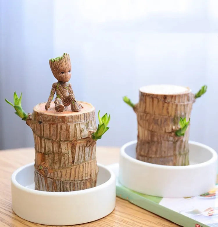 Decoratieve houten plant