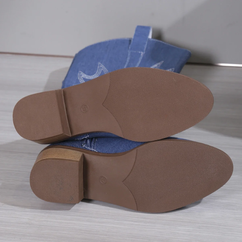 Cowboylaarzen Met Geborduurde Details - Cooper