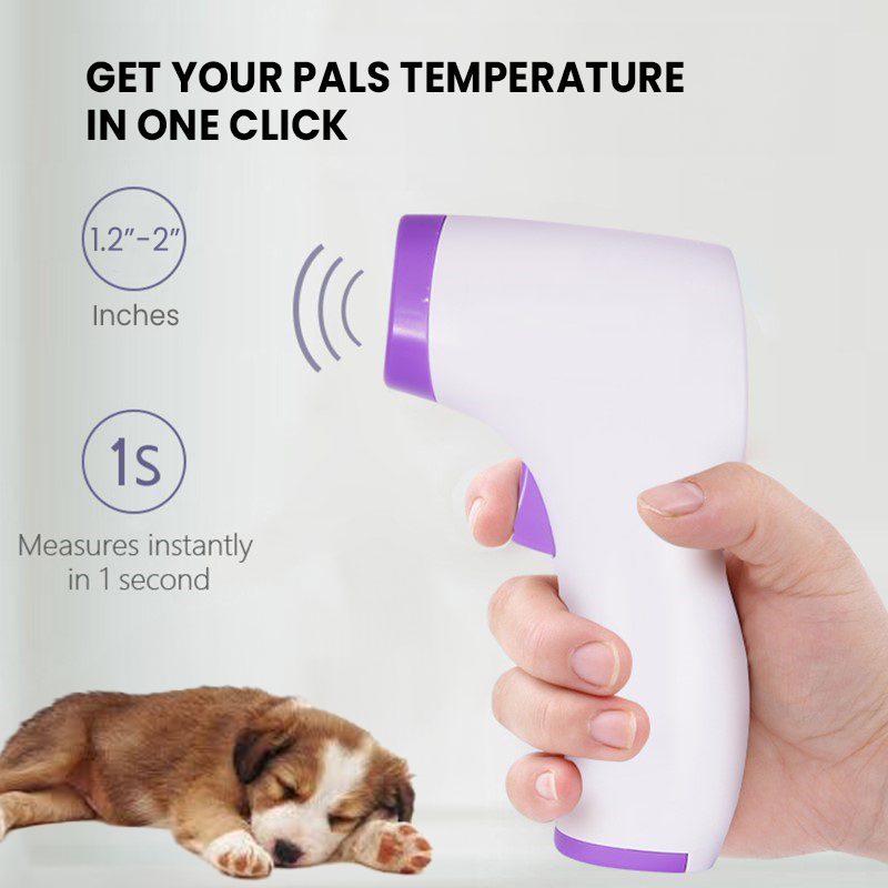 Contactloze Hondenthermometer met Meting per Klik