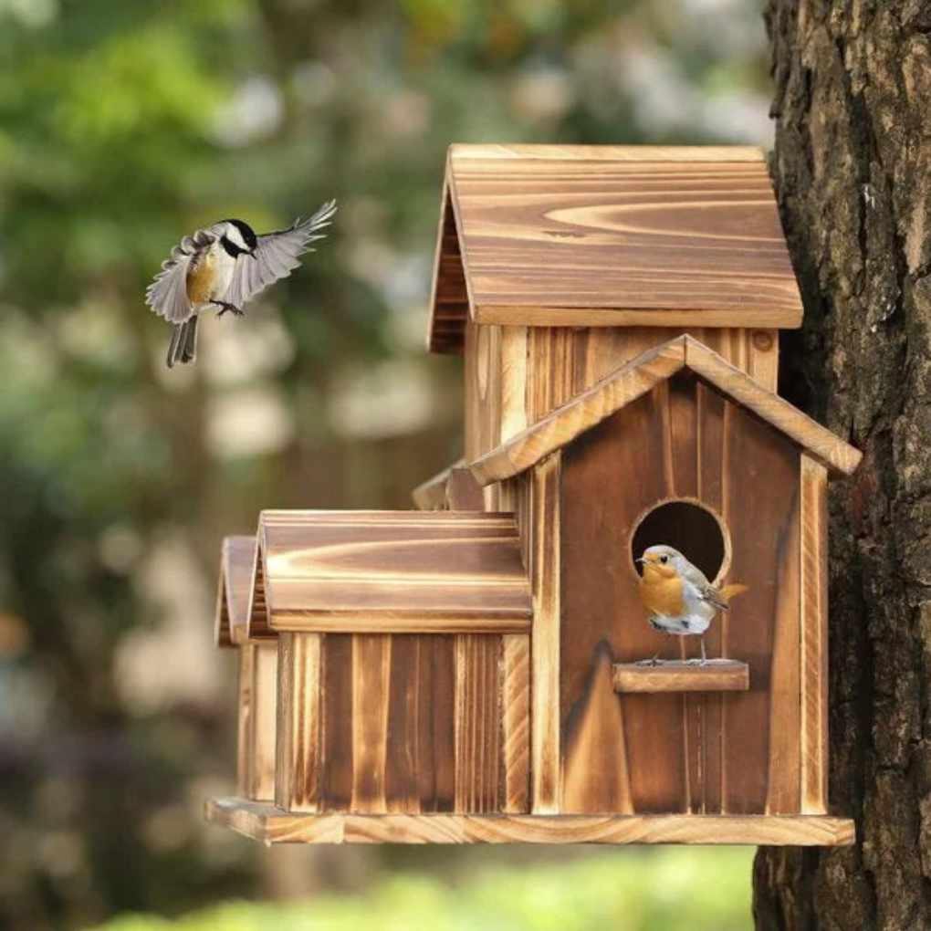 6-Gaten Vogelhuisje