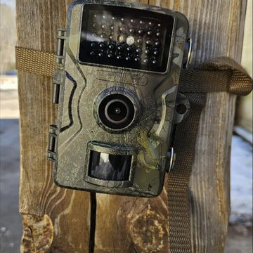 Nachtzichtcamera voor wilde dieren
