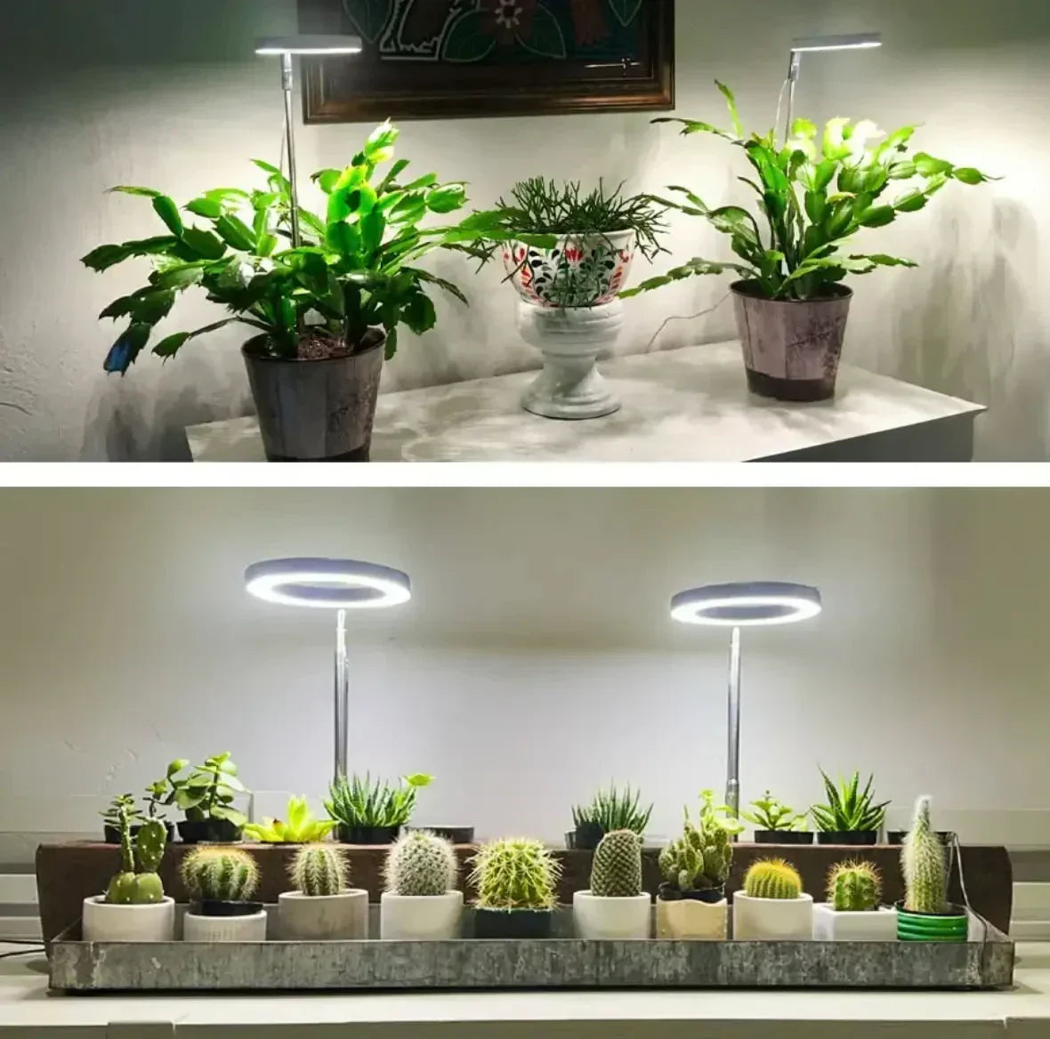 Led-kweeklamp met volledig spectrum, timer en dimfunctie