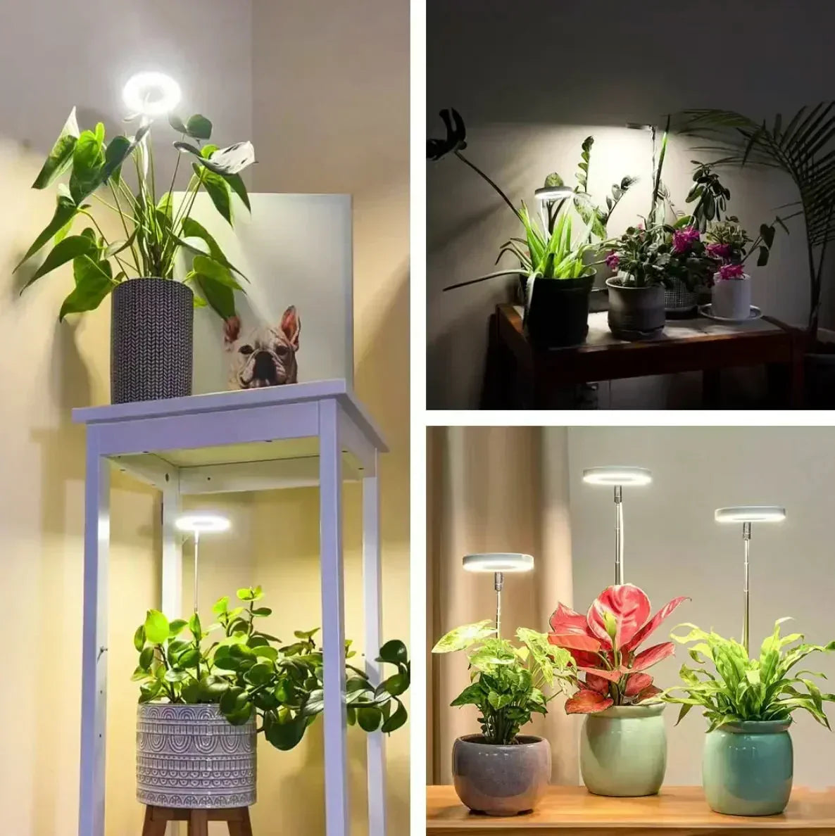 Led-kweeklamp met volledig spectrum, timer en dimfunctie