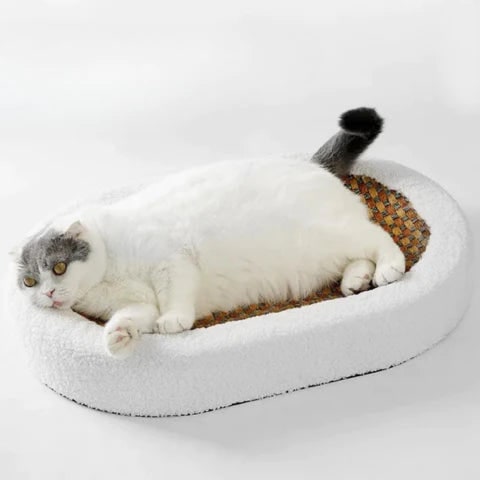 Krabmeubel-bed voor katten met verwarmde rand, zelfverwarmende sisalmat en ovaal ontwerp van sherpafleece