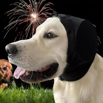 Geluiddempende oorkappen voor honden