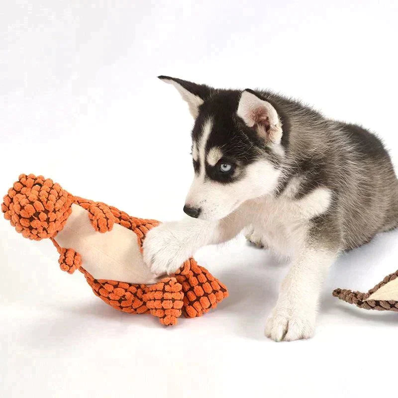 PetPlay – Pluche eend hondenspeeltje
