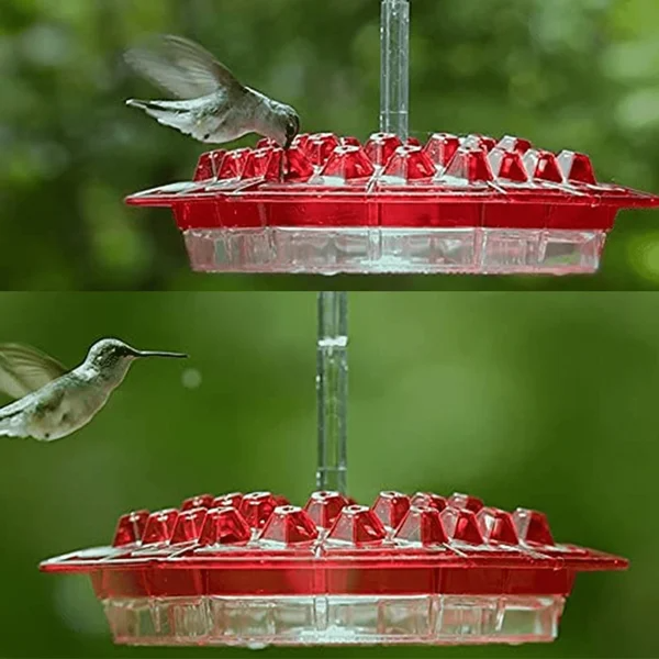 Kolibrievoeder met heldere voorraadhouder en verhoogde ruitvormige openingen voor zelfgemaakte nectar