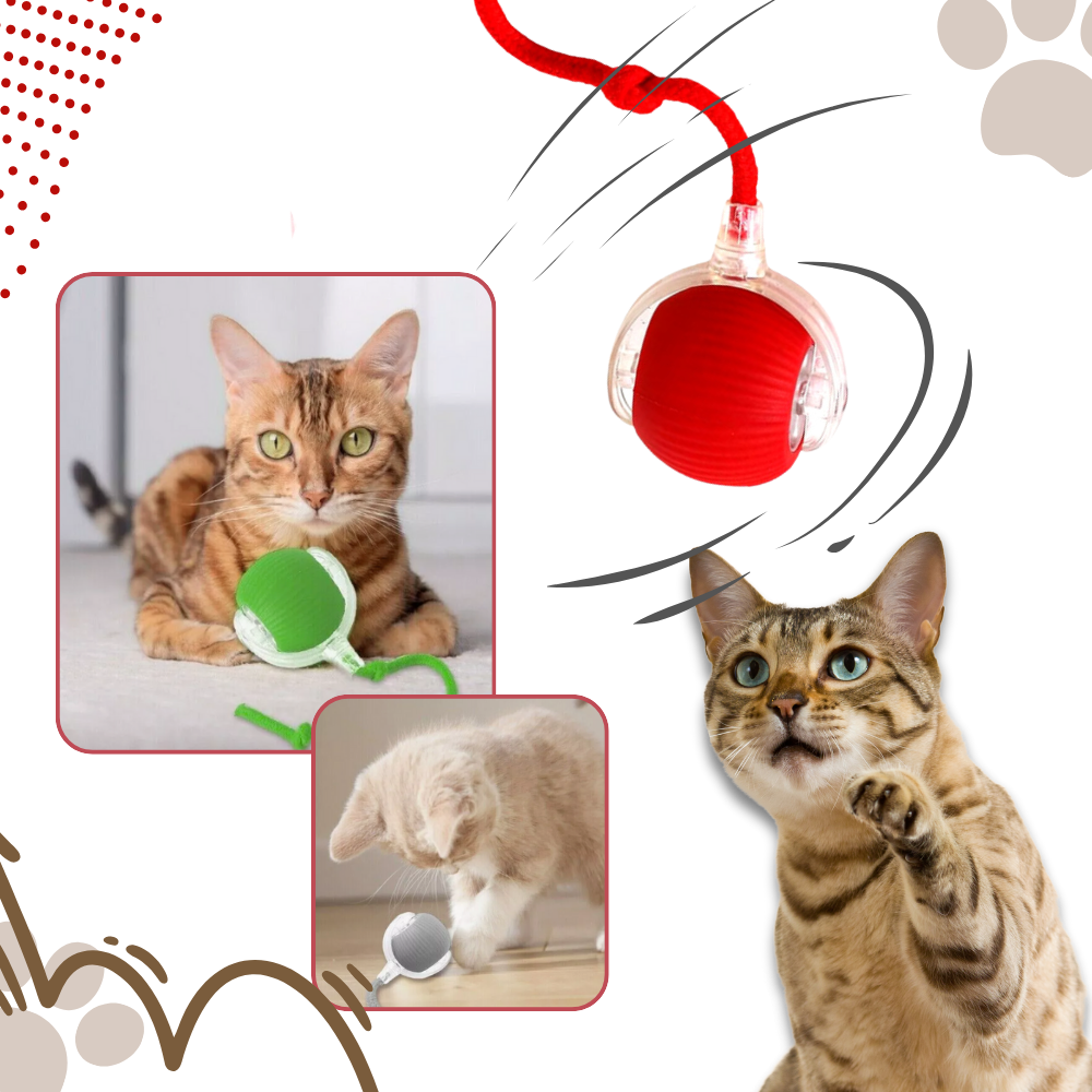Interactieve kattenspeelgoedbal met gemotoriseerde rolbeweging en touwstaart