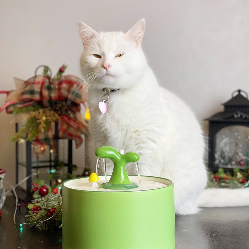Drinkfontein voor Katten – SpringFlow