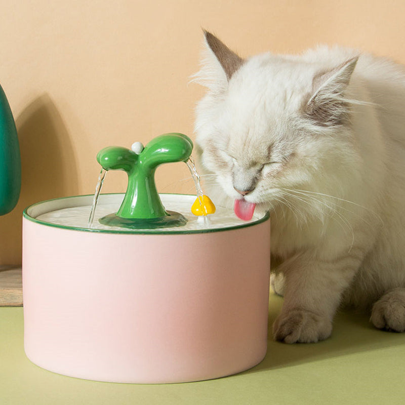 Drinkfontein voor Katten – SpringFlow